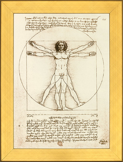 Leonardo da Vinci: Bild 'Proportionsschema der menschlichen Gestalt nach Vitruv', gerahmt