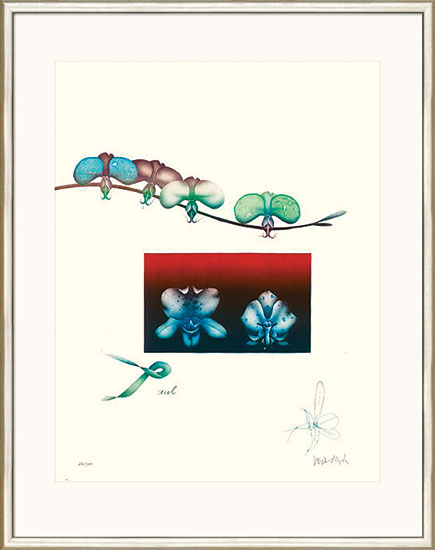 Paul Wunderlich: Bild 'Orchidee II', WVZ-Nr. 725, gerahmt