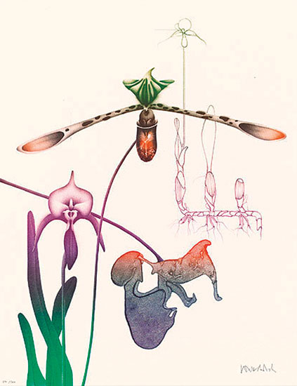 Paul Wunderlich: Bild 'Orchidee III', WVZ-Nr. 726, ungerahmt