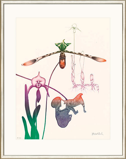 Paul Wunderlich: Bild 'Orchidee III', WVZ-Nr. 726, gerahmt