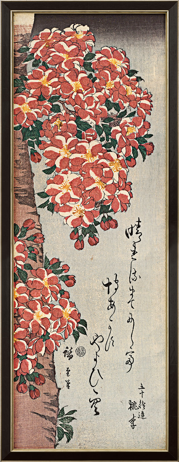 Ando Hiroshige: Bild 'Double Cherry in Flower', gerahmt