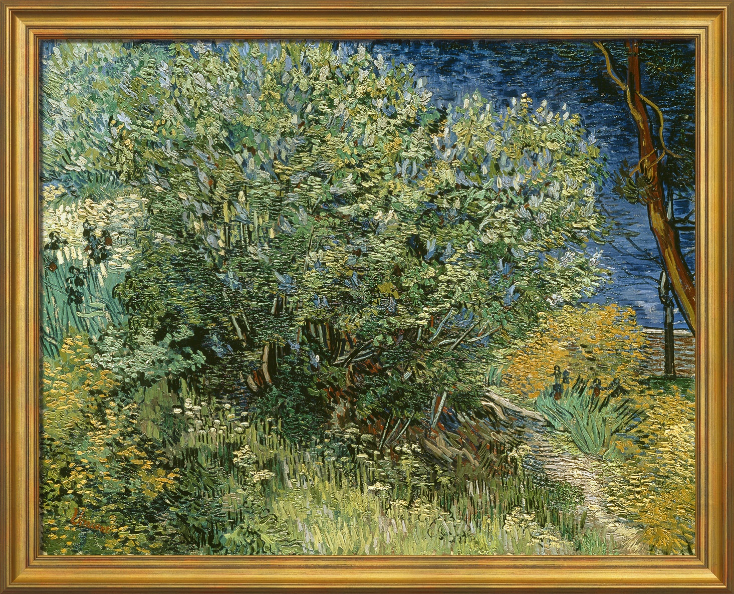 Vincent van Gogh: Bild 'Fliederbusch' (1889), gerahmt