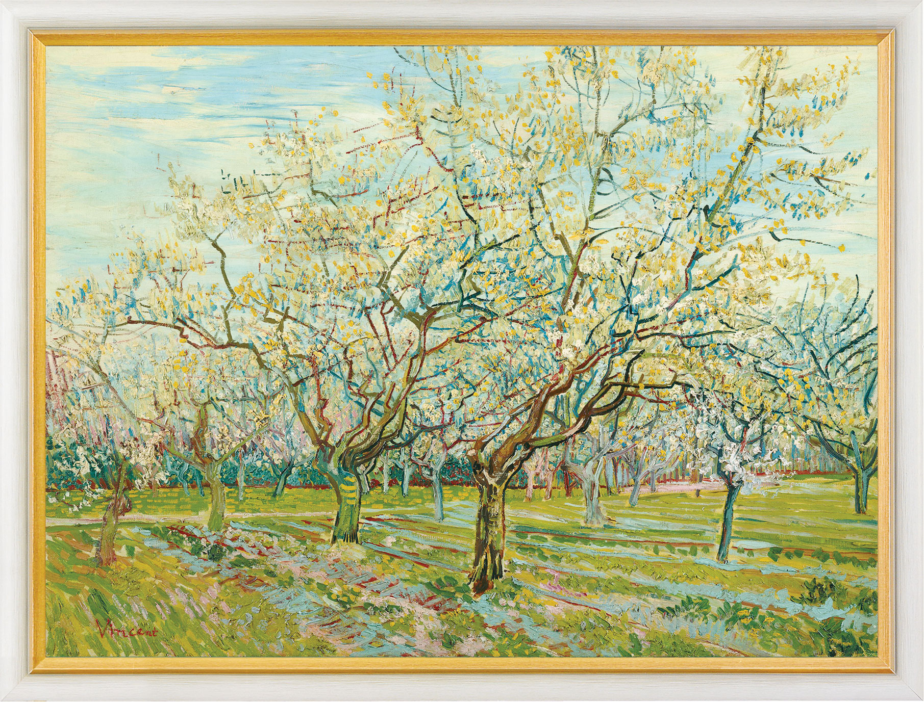 Vincent van Gogh: Bild 'Der weiße Obstgarten', gerahmt