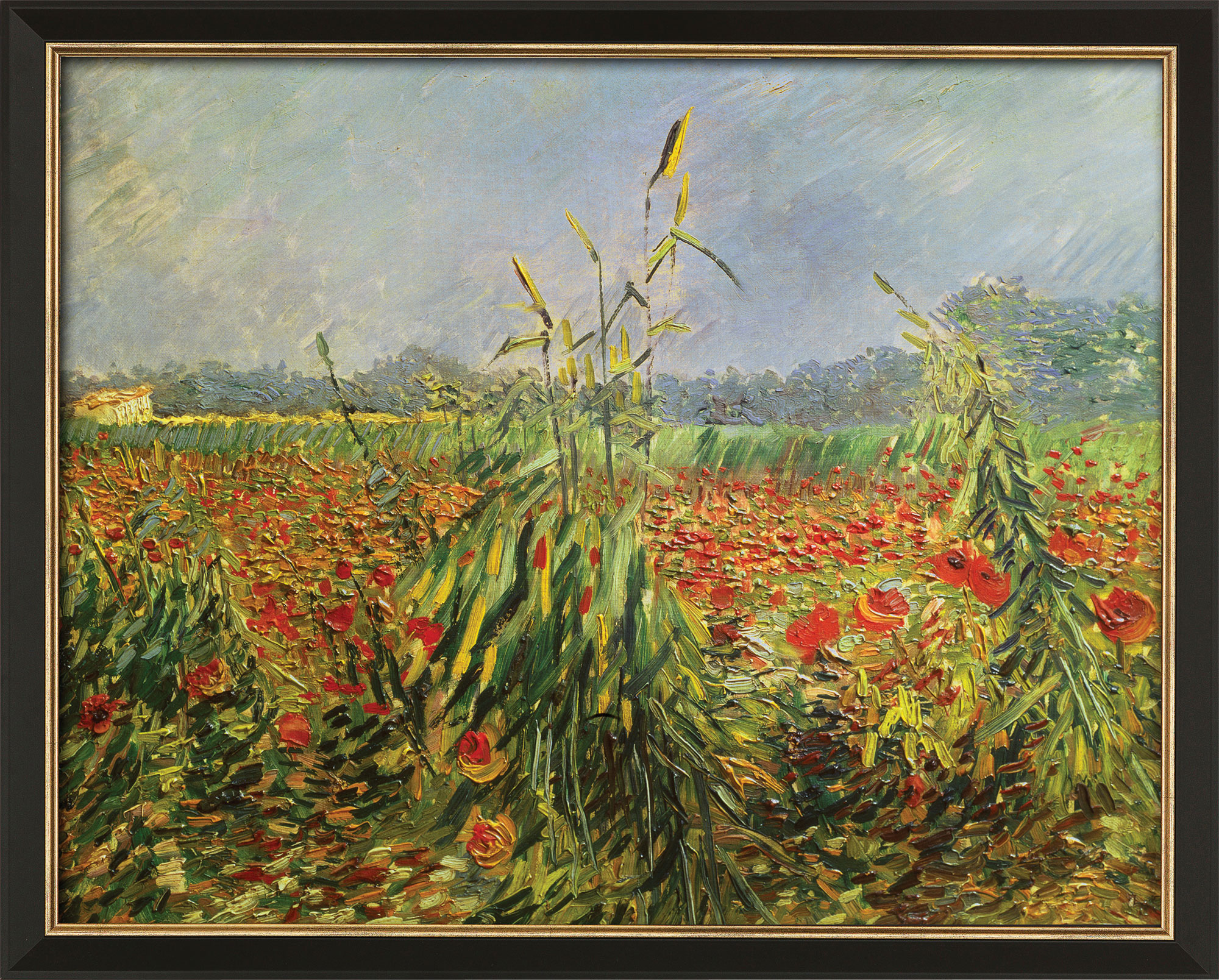 Vincent van Gogh: Bild 'Grüne Kornhalme' (1888), gerahmt