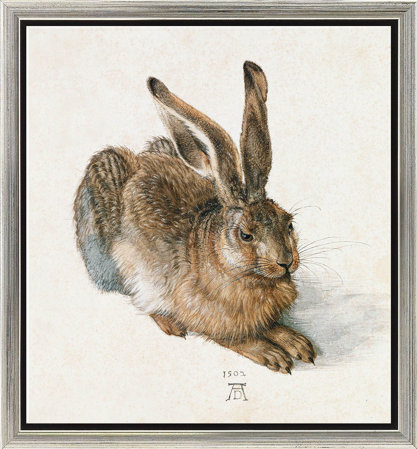 Albrecht Dürer: Bild 'Junger Feldhase' (1502), Version silberfarben gerahmt