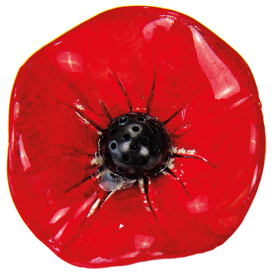 Blütenbrosche 'Klatschmohn', Porzellan, Schmuck