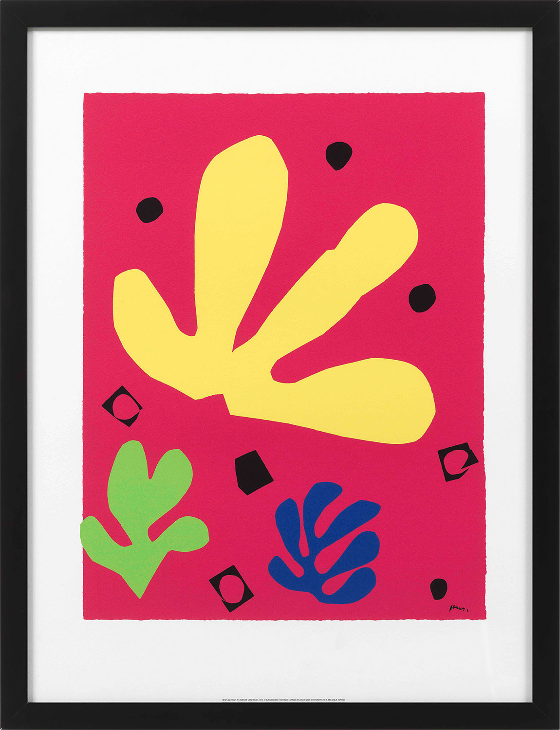 Henri Matisse: Bild 'Elements Végetaux', gerahmt