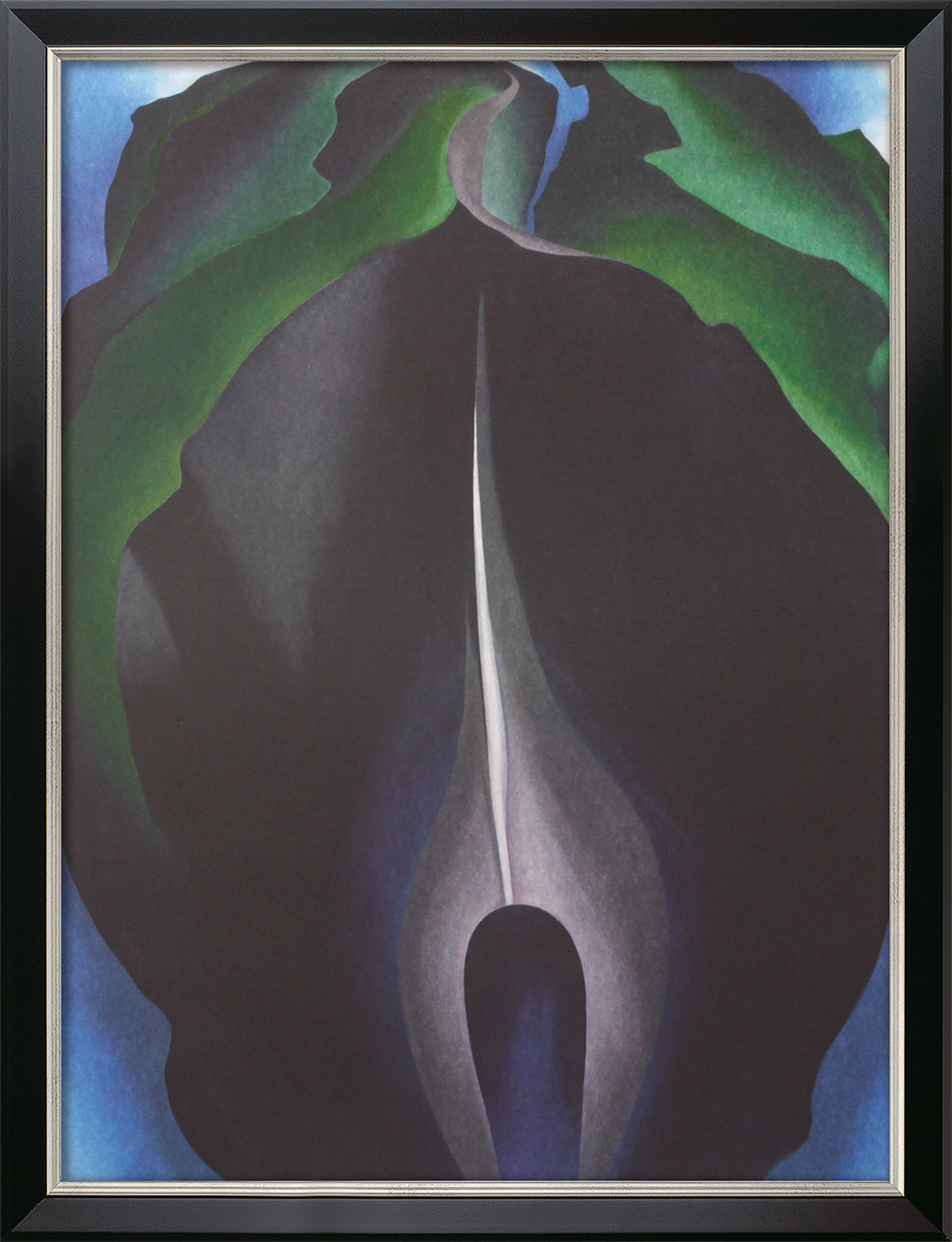 Georgia O'Keeffe: Bild 'Jack-in-the-Pulpit No. IV' (1930), gerahmt