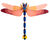 3D-Wandobjekt "Giant Dragonfly" aus recyceltem Karton, DIY