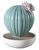 Diffusor "Ferocactus Cactus", porslin