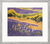 Picture "Summer in Provence", framed