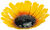 Glasschale "Sonnenblume" (groß, Ø ca. 30 cm)