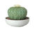 Diffusor "Astrophytum Cactus", porcelæn