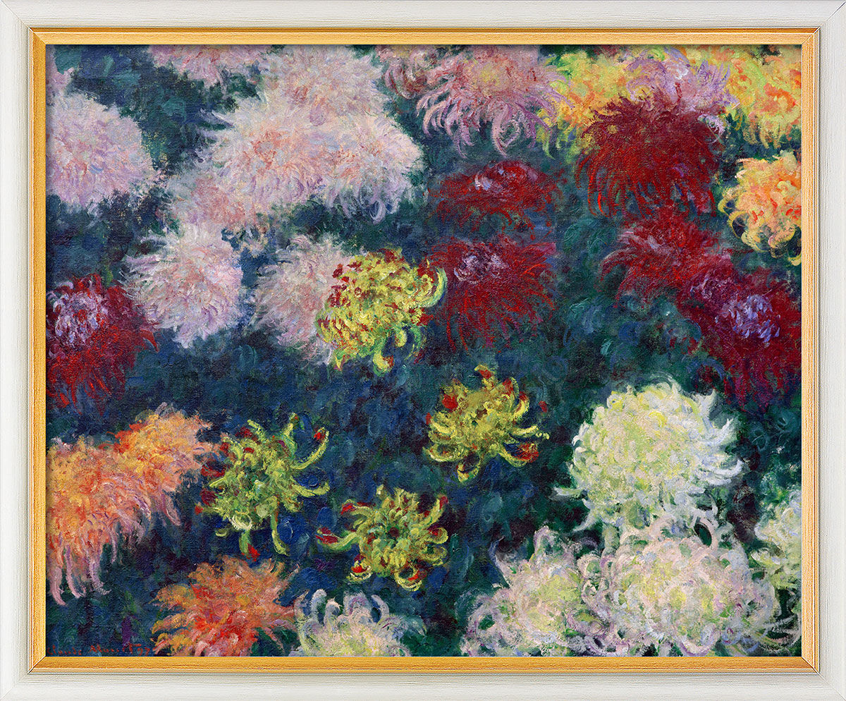 Bild "Chrysanthemenbeet" (1897), gerahmt von Claude Monet