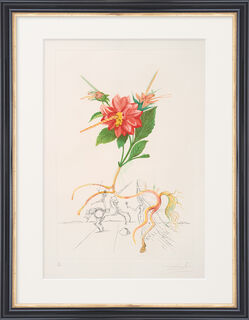 Bild "Dahlia unicornis" (1968)