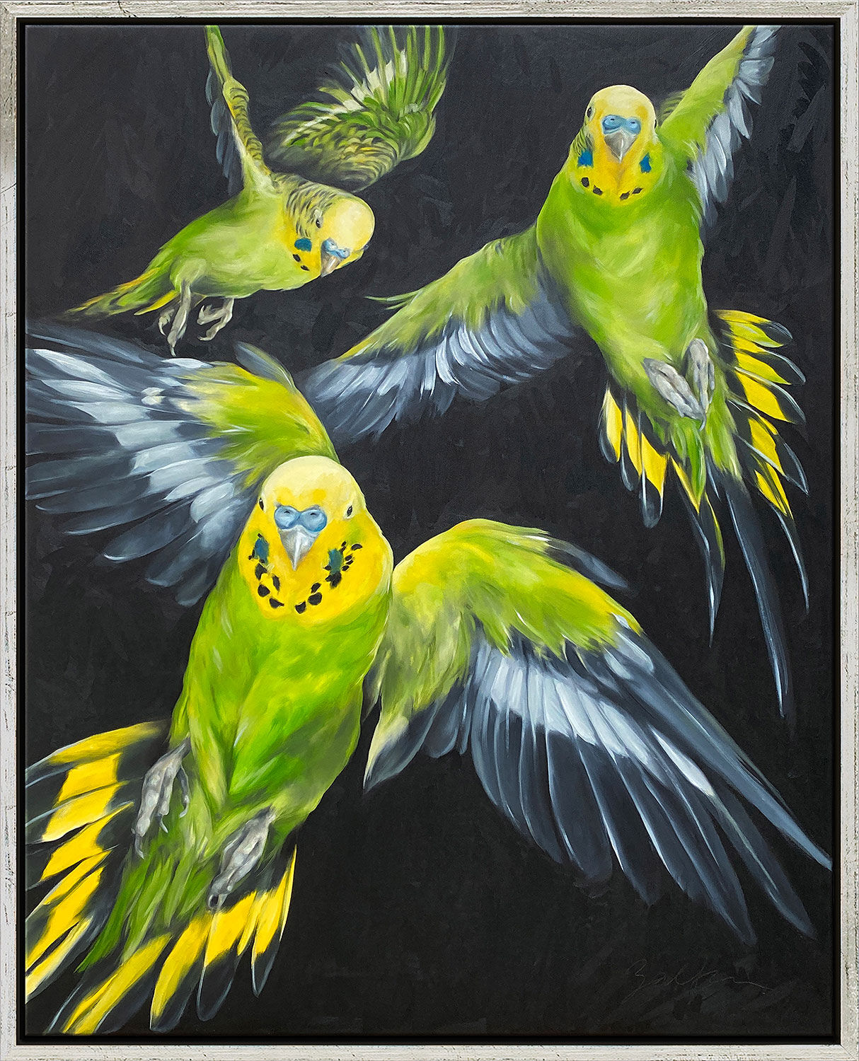 Picture "Budgies" (2022) (Original / Unique piece), framed by Maria Zalfen-Lenz